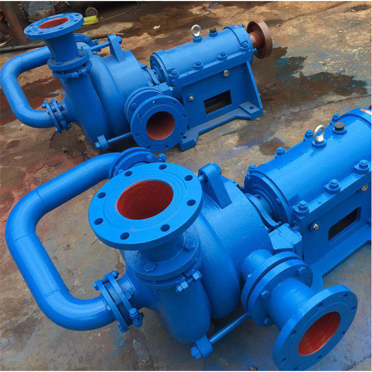 什么是壓濾機(jī)入料泵?一種新型的雜質(zhì)泵